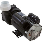 gecko  aqua-flo flo-master xp2 06120500-2040 2 hp 230v dual speed spa pump
