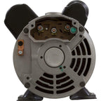 gecko  aqua-flo flo-master xp2 06120500-2040 2 hp 230v dual speed spa pump