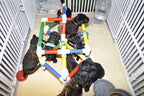 PUPPIES IN BLOOM Puppy Play Gym - Play Station for Early Stimulation &amp; Neurological Development Gym ONLY! Toys are NOT Included.