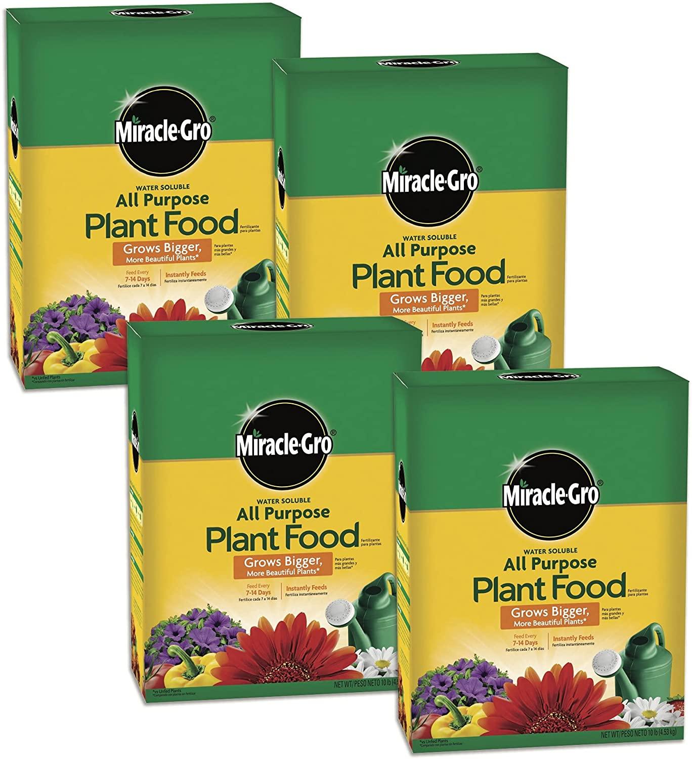 miracle-gro water soluble all purpose plant food, 4-pack