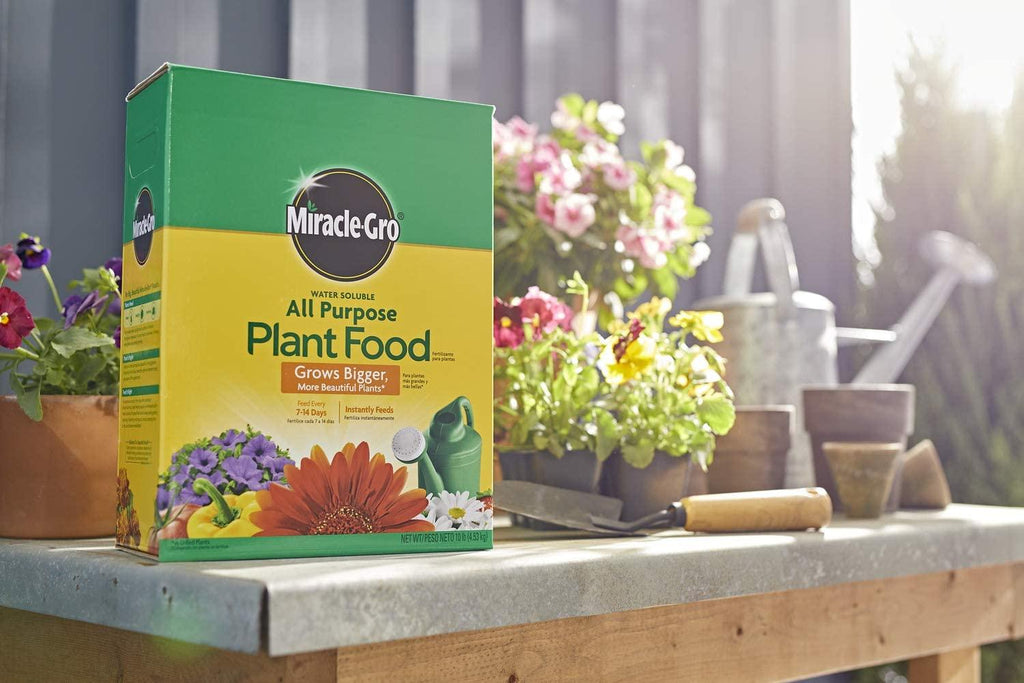 miracle-gro water soluble all purpose plant food, 4-pack