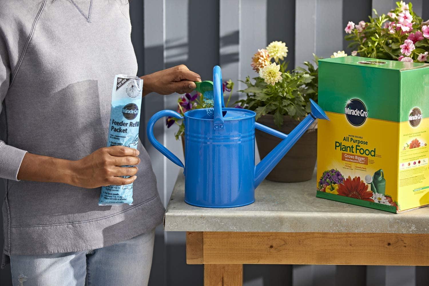 miracle-gro water soluble all purpose plant food, 4-pack