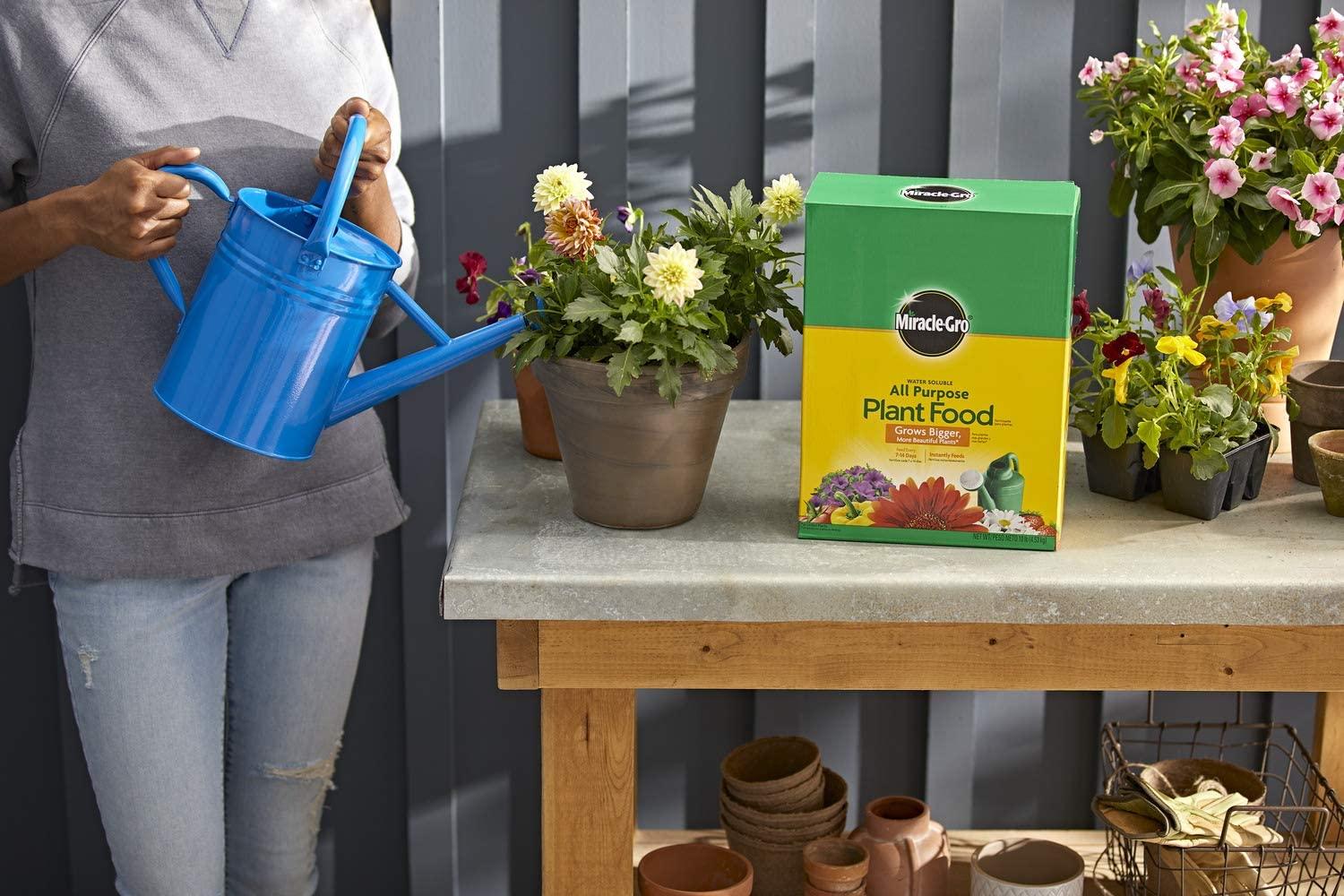 miracle-gro water soluble all purpose plant food, 4-pack