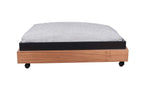 PET-TURE Architecture for Pets CASE XL
