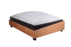 PET-TURE Architecture for Pets CASE XL