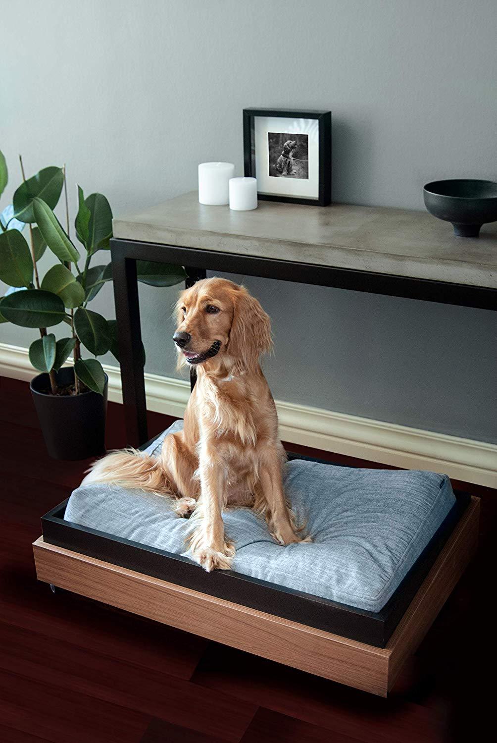 PET-TURE Architecture for Pets CASE XL