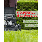 Walk Behind Lawn Mower Steel Self Propelled Gas Stamped Deck Pull Cord Start