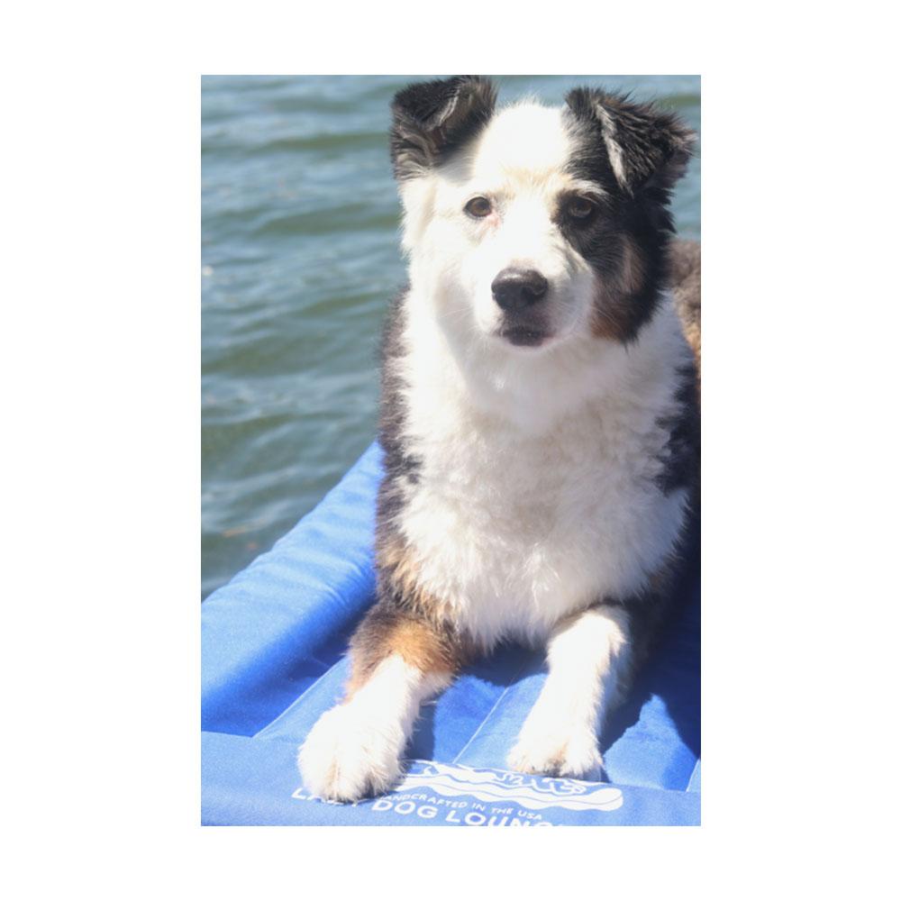 The Better Options Company Blue Lazy Dog Pool Lounger and Lake Raft Floating River Swim Mat for Big Dogs Up to 110 Pounds, Large