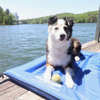 The Better Options Company Camouflage Lazy Dog Pool Lounger and Lake Raft Float River Swim Mat for Dogs Up to 110 Pounds, Large