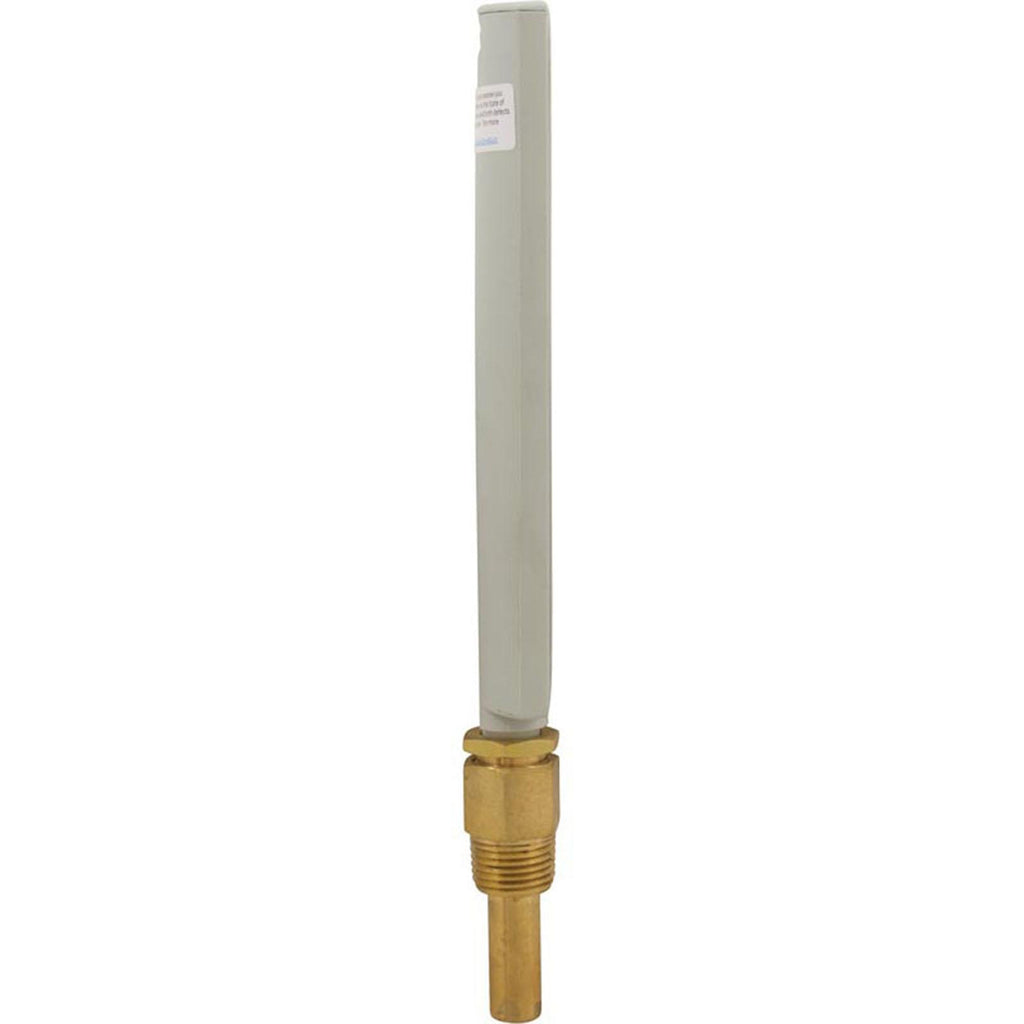 Raypak Thermometer, Raypak, Brass, Vertical Display