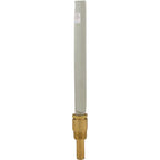 Raypak Thermometer, Raypak, Brass, Vertical Display