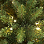 6.5 ft. Pre-Lit Incandescent Fraser Fir Artificial Christmas Tree with 500 UL Clear Lights