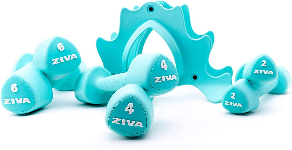 ZIVA Virgin Rubber Steel Tribell Dumbbell Set - Odorless, Ergonomic Non-Slip Comfort Grip - Exercise Weights for Core and Strength Training 閳 3 Pair Sets 閳 2 lb, 4 lb, 6 lb 閳 24 lbs, Turquoise