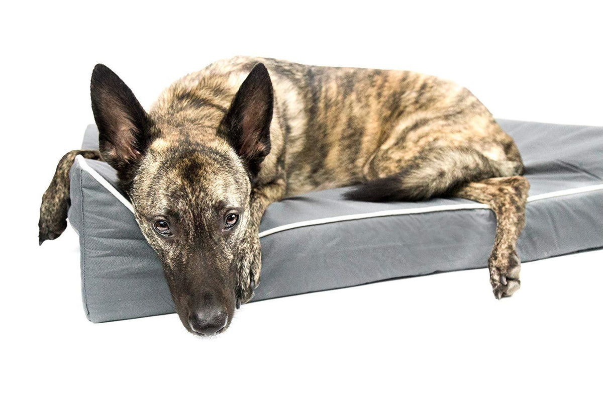 Dog Bed- Chew Resistant, Memory Foam, Washable Cover, Waterproof Liner - Durable Premium Dog Bed