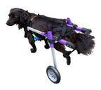 WANXJM Dog Wheelchair Back Limb Rehabilitation Aid, Adjustable Hind Legs Disability Moped, for Aging, Injured, Arthritis Pet
