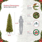6.5 ft. Pre-Lit Incandescent Fraser Fir Pencil Artificial Christmas Tree with 250 UL Clear Lights