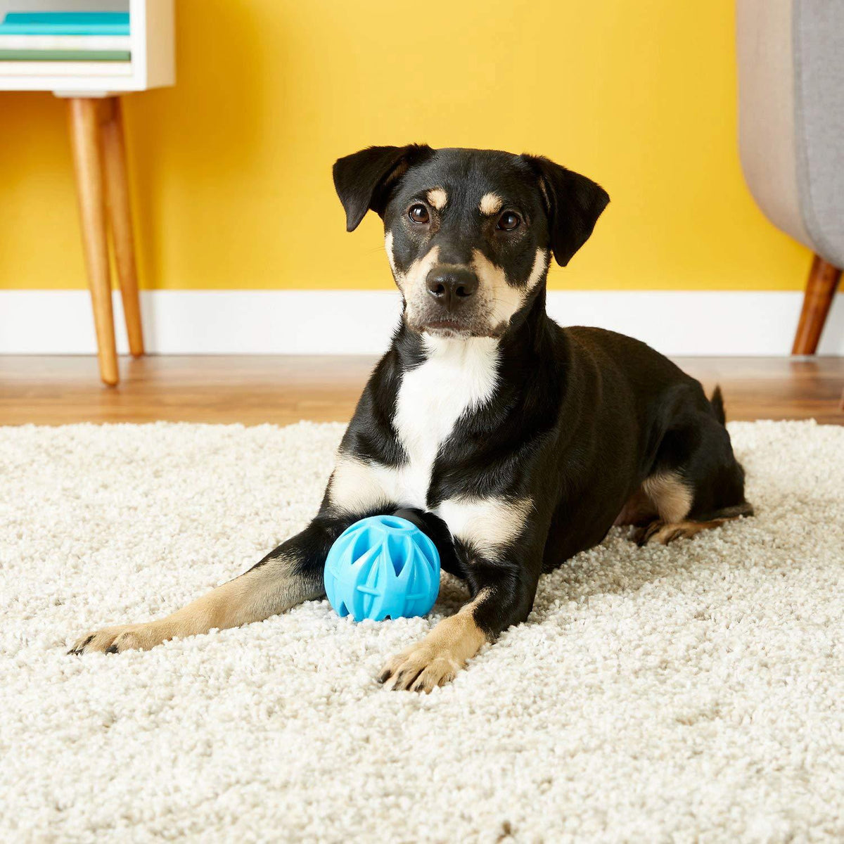 JW Megalast Ball Pet Toy, Large, 18 Pack
