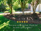 usa pine straw | premium pine needle mulch - 210 sqft. (1)