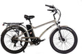 SOHOO 48V500W12Ah 26 Inches Adult Step-Over Beach Cruiser Electric Bicycle City E-Bike Mountain Bike(Silver)