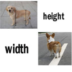 ZHIJIA Pet Disabled Wheelchair Pet Wheelchair 2 Wheel Rehabilitation Bicycle is Suitable for Small and LarDisabled Cats and Dogs hind Legs, Blue Size can be Adjusted Freely