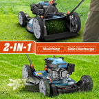144 cc Gas Lawn Mower, 21 inch 2-in-1 Push with Mulching and Side Discharge, 4-Cycle Engine, 6 Position Cutting Height Adjustment for Yard and Garden