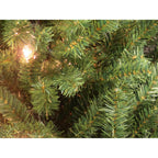 Northlight 9 ft. Prelit Artificial Pine Christmas Archway Decoration