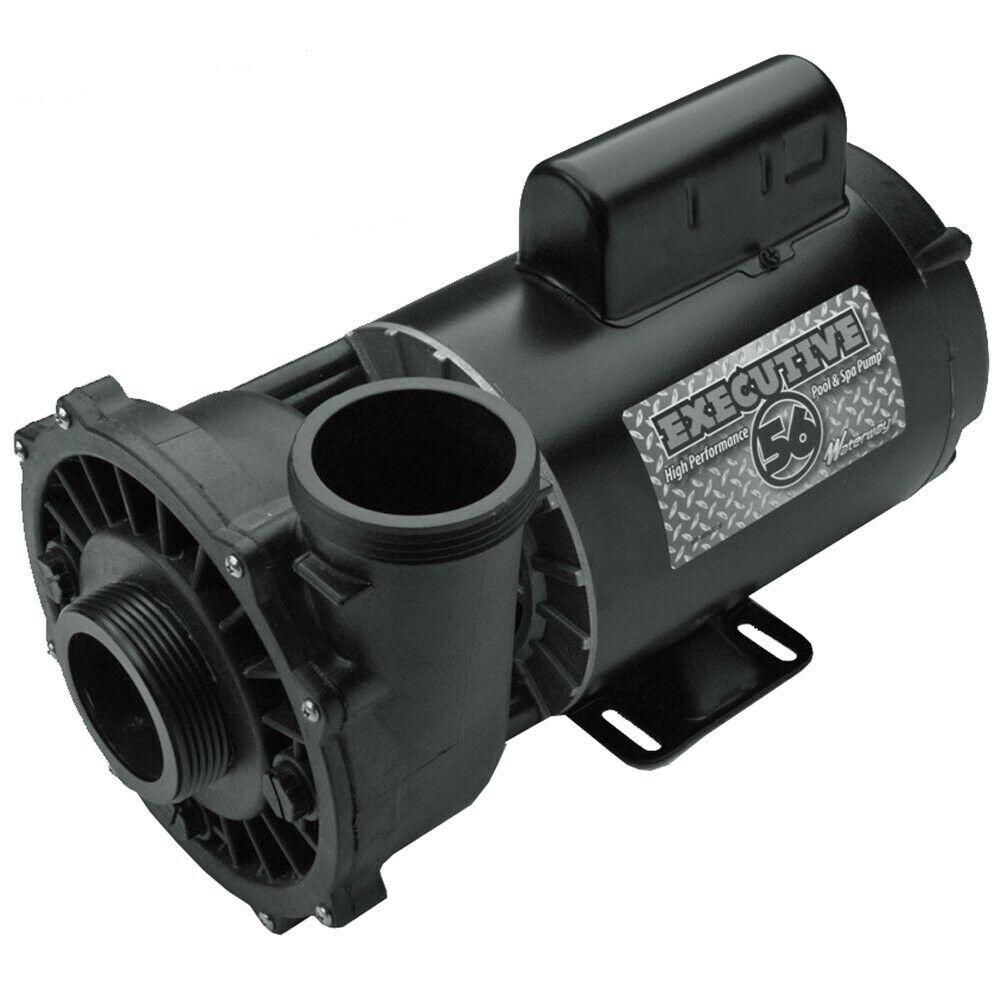 waterway plastics 3721621-13 executive 56 frame 4 hp spa pump, 230-volt hot tubs
