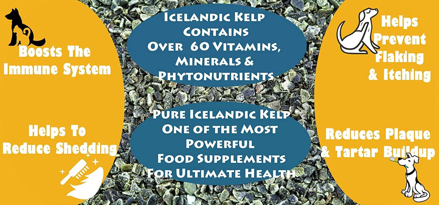 thorvin organic icelandic kelp meal - loaded with nutrients that support your livestock or pet &amp; a natural seaweed fertilizer for plants, 50lbs.