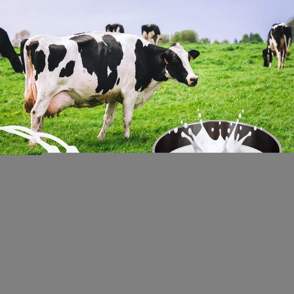 heepdd milking machine, portable electric cow milker milking kit with 2 teat cups adjustable vacuum pump box 5l stainless steel milk bucket 100-240v