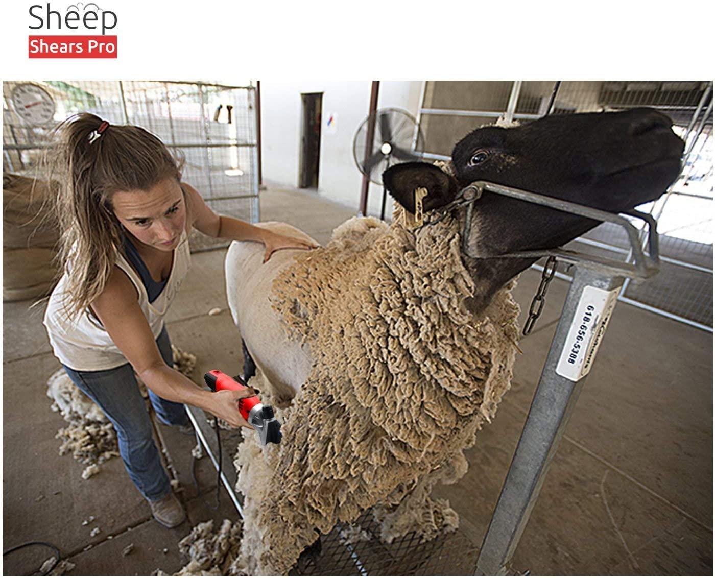 sheep shears pro 110v 500w professional heavy duty electric shearing clippers with 6 speed, for shaving fur wool in sheep, goats, cattle, and other farm livestock pet, with grooming carrying case ce