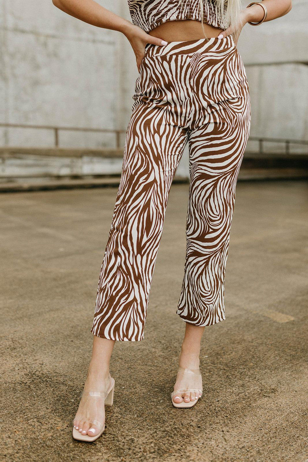 sassy zebra set