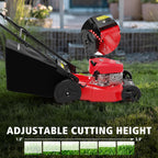 21" 2-in-1 Push Lawn Mower, 144cc Engine,Mulching, Bagging, High Wheels, Lightweight and Easy Assembly,6 Cutting Height, Lightweight,for Garden Yard