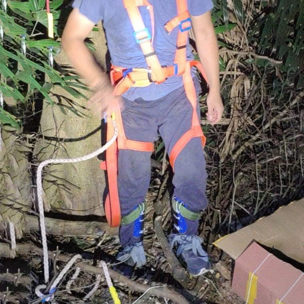 PRETYZOOM 1 Set Tree Climbing Gear Safety Harness Belt Rope Spike Shoes Tree Climbing Aid