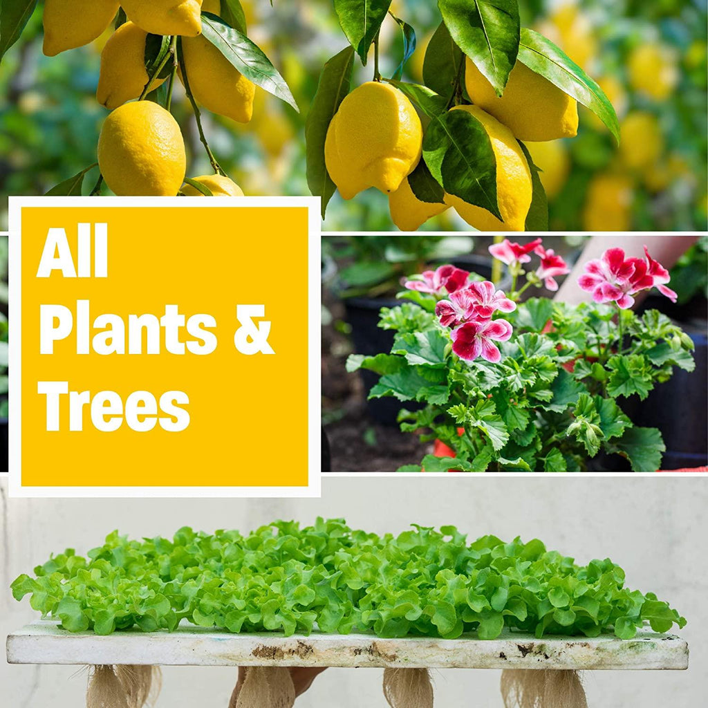 humboldts secret golden tree: plant food for plants &amp; trees - all-in-one concentrated additive - vegetables, flowers, fruits, lawns, roses, tomatoes &amp; more (1 gallon)
