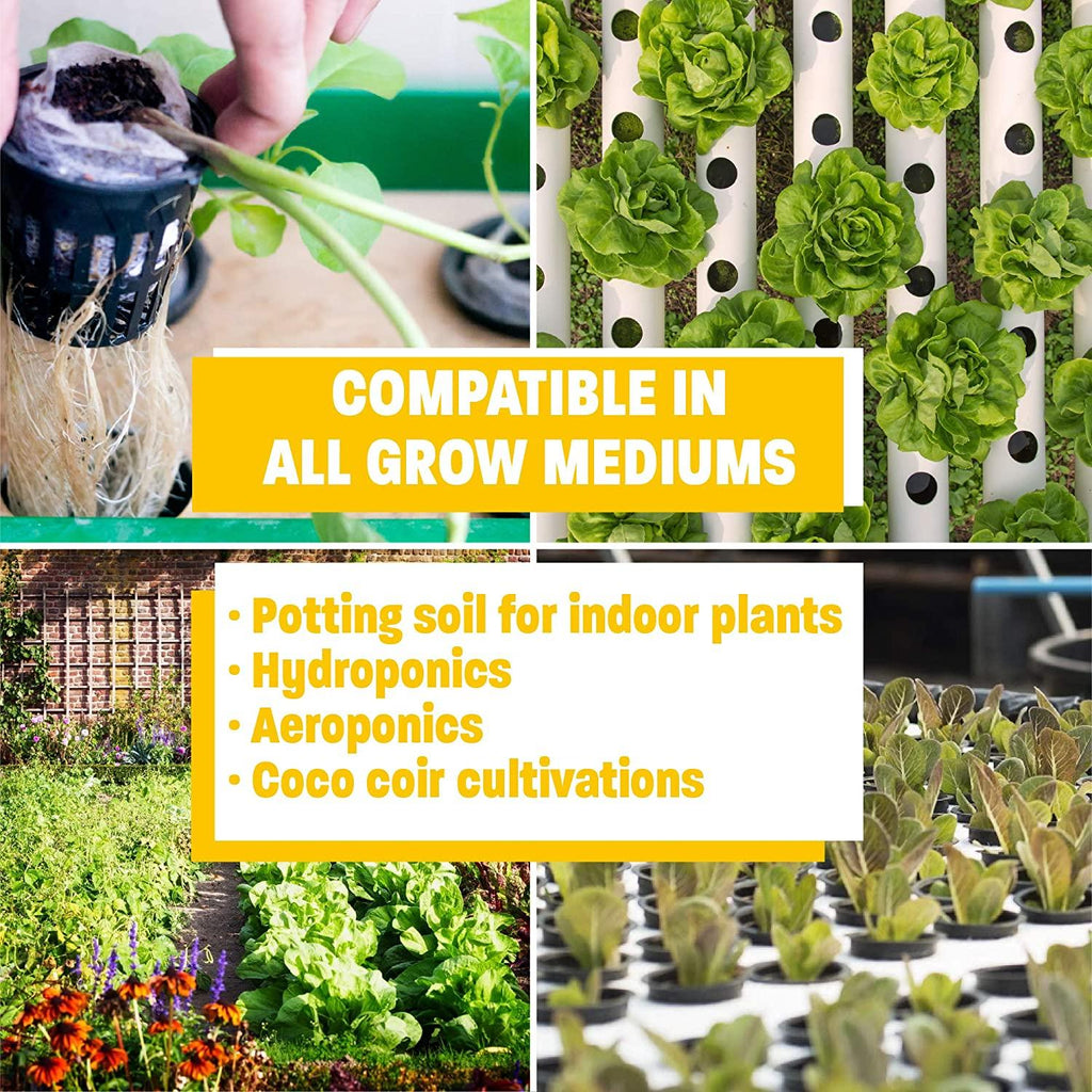 humboldts secret golden tree: plant food for plants &amp; trees - all-in-one concentrated additive - vegetables, flowers, fruits, lawns, roses, tomatoes &amp; more (1 gallon)