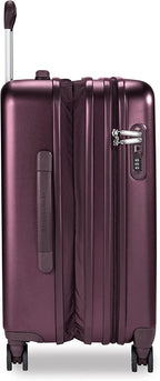 Sympatico Hardside Domestic Spinner Luggage, Plum, 22-Inch Carry-On