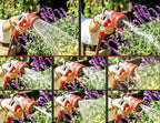 BCGT Garden Hoses Expandable Garden Hose, Flexible Water Hose with 8 Function Nozzle, Leakproof Lightweight Expanding Durable Hose, Collapsible Outdoor Hose for Lawn Car Pet Washing