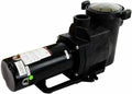 rx clear silent-flow in-ground swimming pool pump w/ 2" ports (select size)