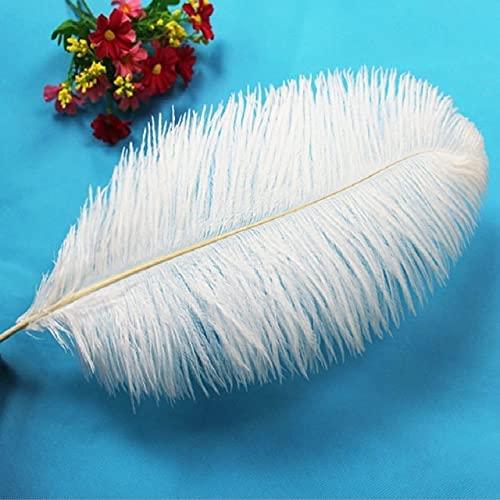 LeoCraft Feather for Crafts 50pcs White Ostrich Feathers Wedding Party Decorations 6-30 inch/15-75cm Wedding Birthday Christmas Decorations