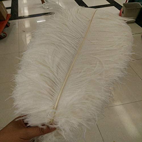 LeoCraft Feather for Crafts 50pcs White Ostrich Feathers Wedding Party Decorations 6-30 inch/15-75cm Wedding Birthday Christmas Decorations