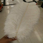 LeoCraft Feather for Crafts 50pcs White Ostrich Feathers Wedding Party Decorations 6-30 inch/15-75cm Wedding Birthday Christmas Decorations