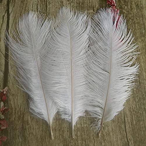 LeoCraft Feather for Crafts 50pcs White Ostrich Feathers Wedding Party Decorations 6-30 inch/15-75cm Wedding Birthday Christmas Decorations