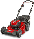Electric Cordless Push Lawn Mower Walk Behind Bagger Battery Charger