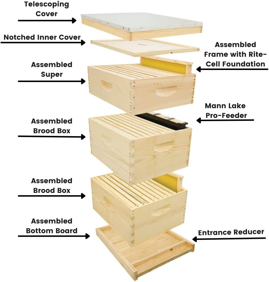 10 frame hive kit includes wooden frames &amp; waxed rite-cell foundation (2 deep boxes, 1 medium box)