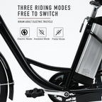 VIRIBUS 24 Inch Electric Trike Bike for Adults 250w 36V 3 Wheel Electric Bicycle for Women Men, Black