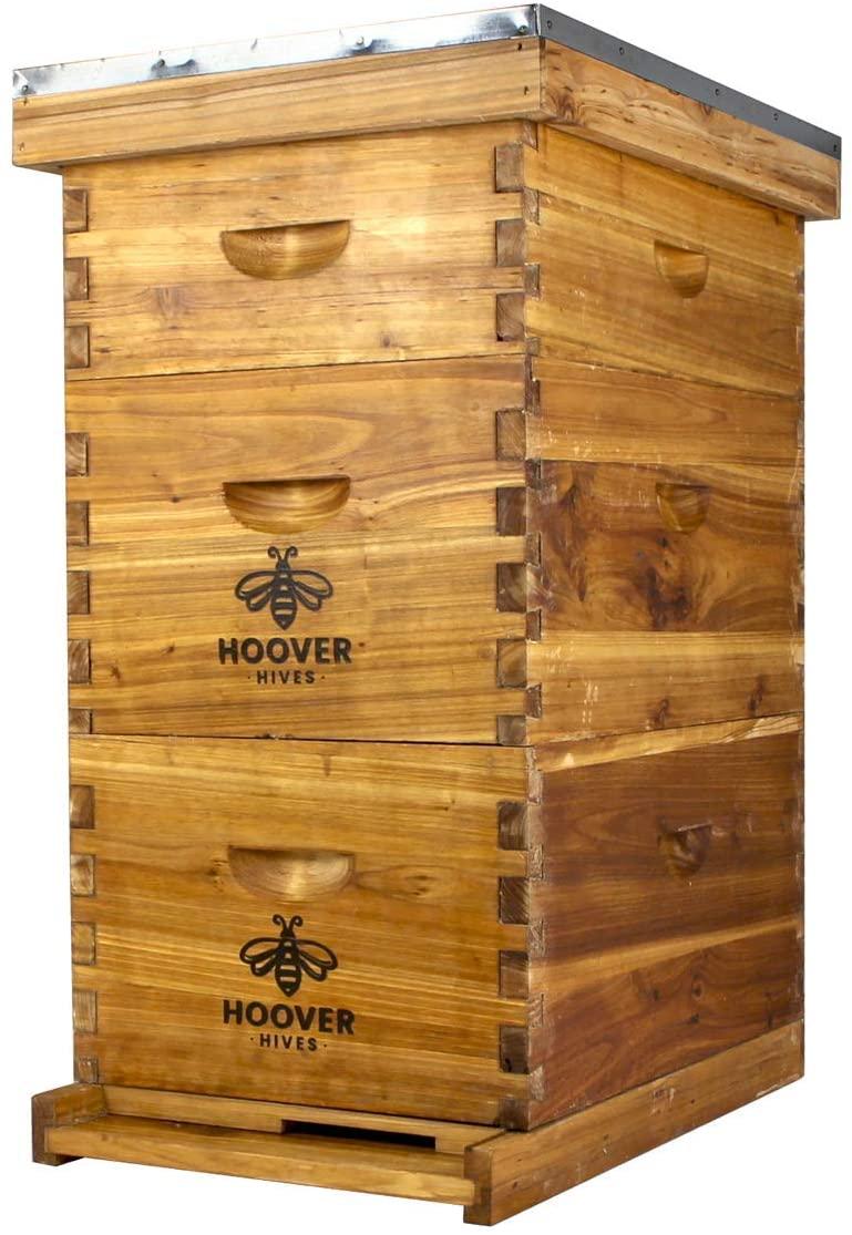 hoover hives 8 frame beehive kit - dipped in 100% beeswax includes wooden frames &amp; waxed foundations (2 deep boxes, 1 medium box)