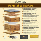 hoover hives 8 frame beehive kit - dipped in 100% beeswax includes wooden frames &amp; waxed foundations (2 deep boxes, 1 medium box)