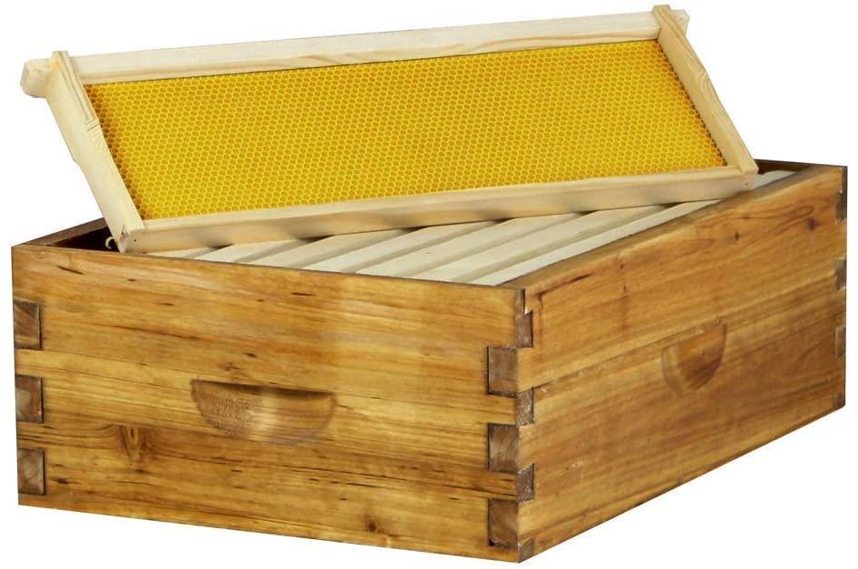 hoover hives 8 frame beehive kit - dipped in 100% beeswax includes wooden frames &amp; waxed foundations (2 deep boxes, 1 medium box)