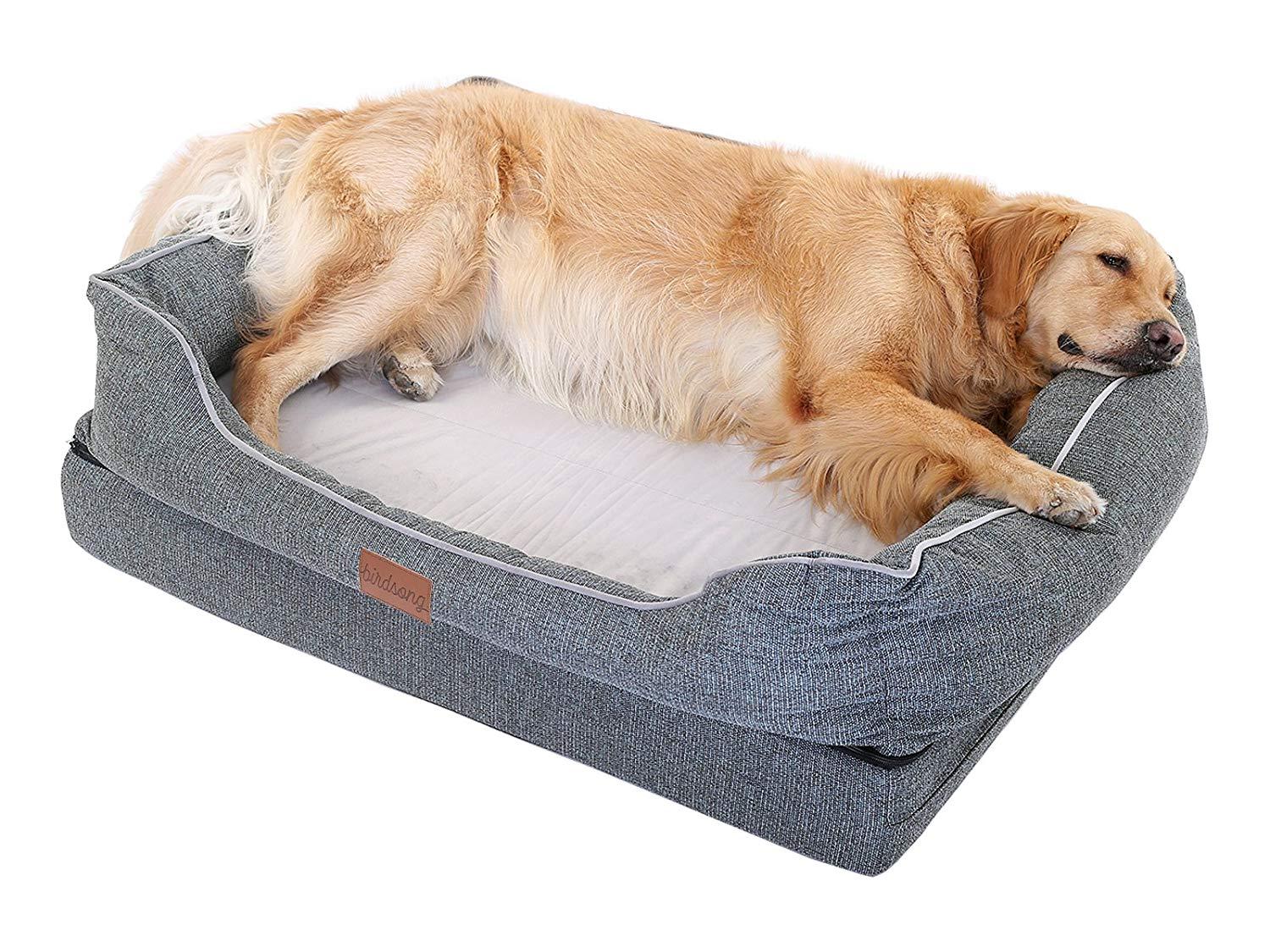 PLS Birdsong Fusion Orthopedic Dog Bed with Plush Bolster Sides, Firm Foam Dog Bed, Dog Beds for LarDogs with Removable Cover