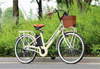 250W Electric Bike 26" Electric Bicycle 6 Speed Electric Bikes for Adults City Ebike for Women with Basket High Speed Electric Bikes with 36V 12AH Removable Battery